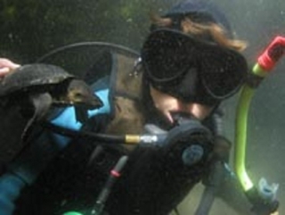  Immersione professionale 